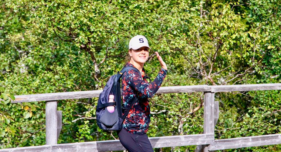 Fulufjallet National Park Njupeskar waterval hike